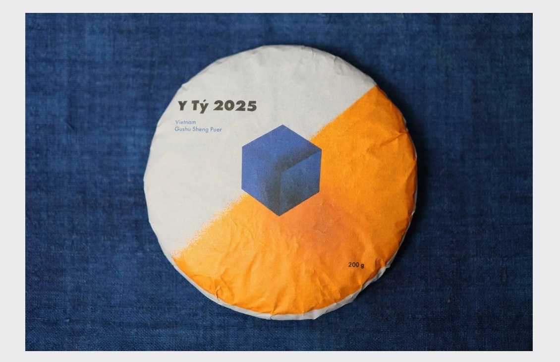 Y tý 2025