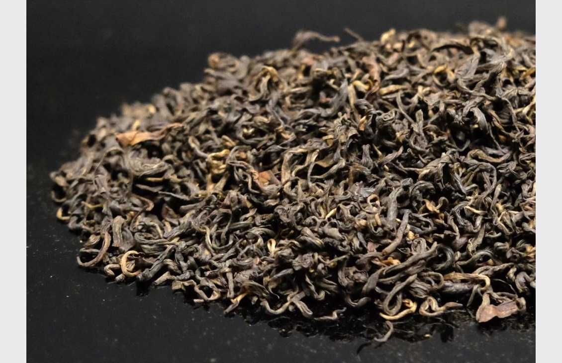 Kalapani Junkiri Gold SF 2025