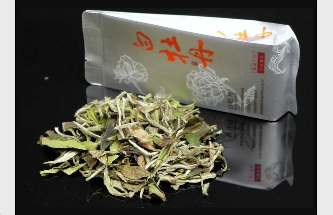 Bílá Pivoňka 2024