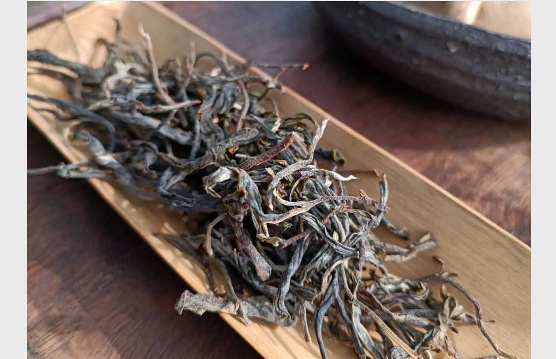 Thailand First Leaves 2024