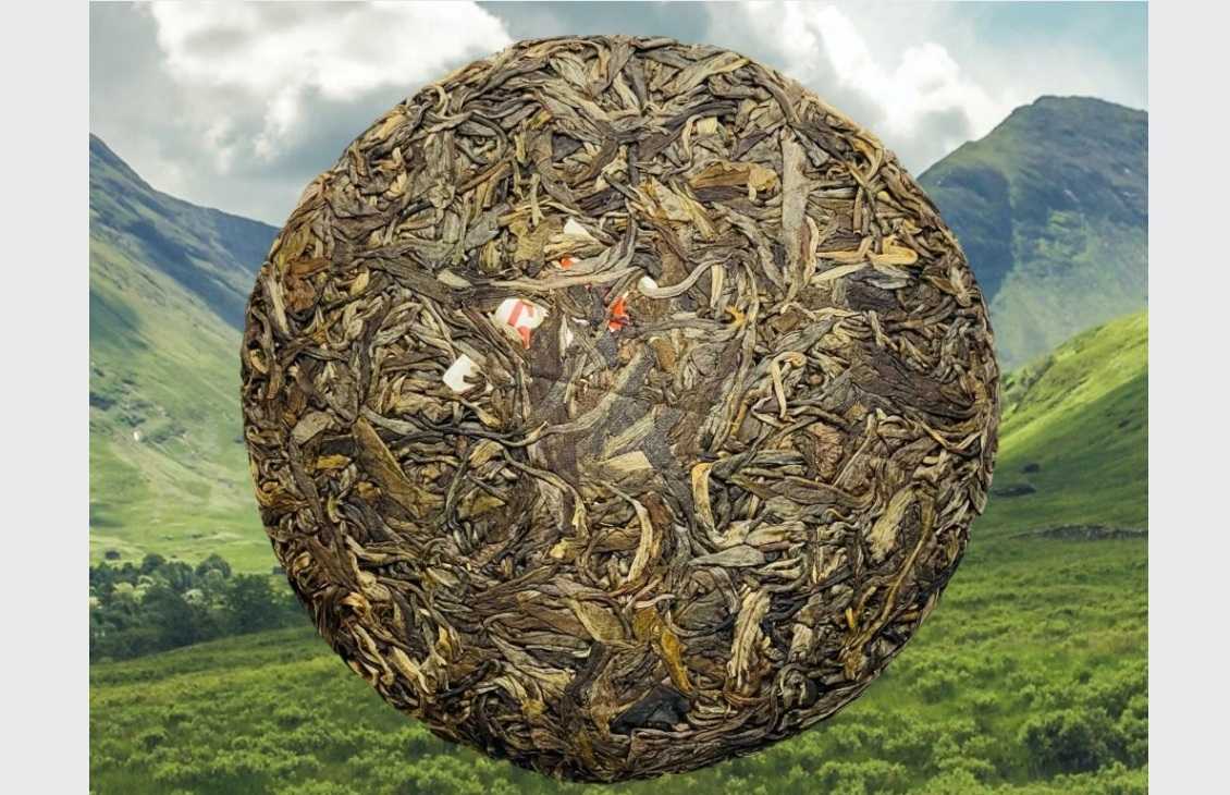 Hesong Gushu Shengcha 2020