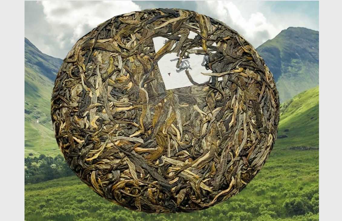 Manmai Dashu Shengcha 2022