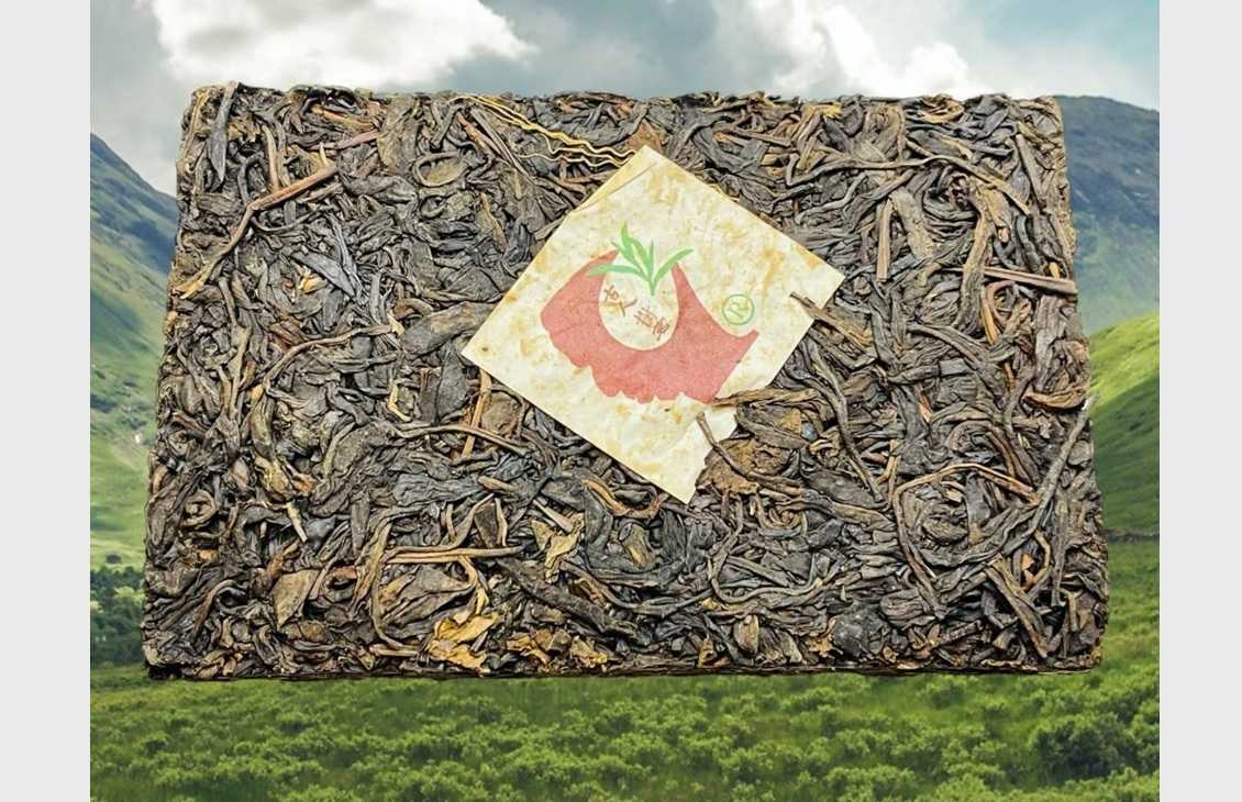 Ziya Dashu Shengcha 2008