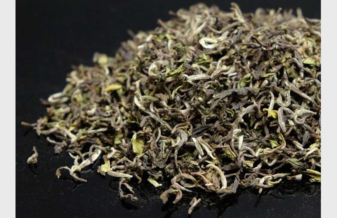 Castleton Moonlight 2025